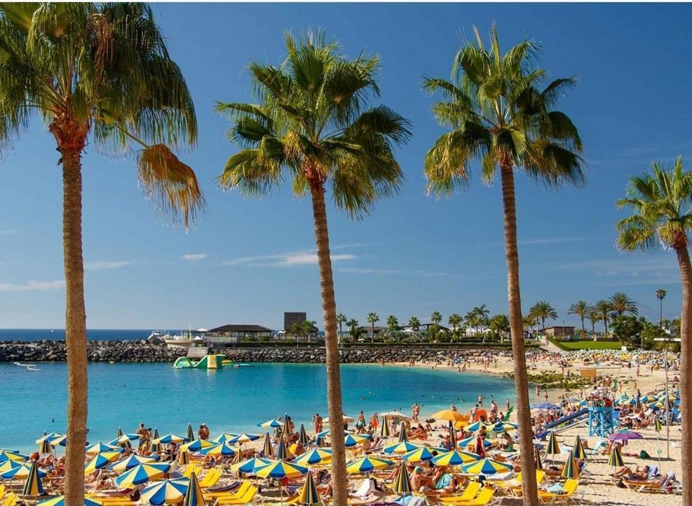 Aeropuerto Gran Canaria Vivienda Vacacional Carrizal Εξωτερικό φωτογραφία